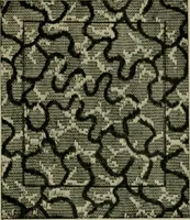 An illustration from Textile design and colour; elementary weaves and figured fabrics (1921)