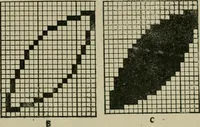 An illustration from Textile design and colour; elementary weaves and figured fabrics (1921)