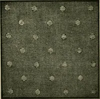 An illustration from Textile design and colour; elementary weaves and figured fabrics (1921)
