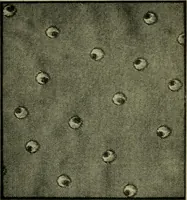 Picture 86 of 413 from Textile design and colour; elementary weaves and figured fabrics (1921), leaf 86