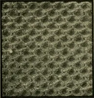 An illustration from Textile design and colour; elementary weaves and figured fabrics (1921)