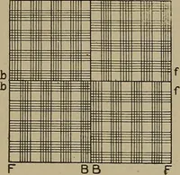 An illustration from Textile design; a working manual of approved practice in all details of the art of designing the various kinds of textile fabrics, together with practical applications of the principles of textile coloring and systematic methods of cost finding (1909)