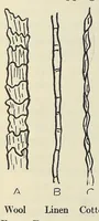 Picture 2 of 14 from Textile fabrics (1927), leaf 42
