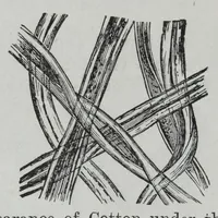An illustration from Textile fabrics and their preparation for dyeing : with numerous engravings and diagrams (1906)