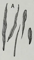 An illustration from Textile fabrics and their preparation for dyeing : with numerous engravings and diagrams (1906)