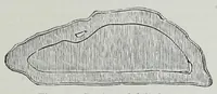 An illustration from Textile fabrics and their preparation for dyeing : with numerous engravings and diagrams (1906)