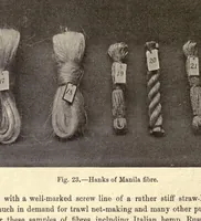 Picture 3 of 12 from The textile fibres of commerce. A handbook on the occurrence, distribution, preparation, and uses of the animal, vegetable, and mineral fibres used in cotton, woollen, paper, silk, brush, and hat manufactures (1902), leaf 56