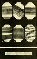 An illustration from The textile industries : a practical guide to fibres, yarns & fabrics in every branch of textile manufacture, including preparation of fibres, spinning, doubling, designing, weaving, bleaching, printing, dyeing and finishing (1910)