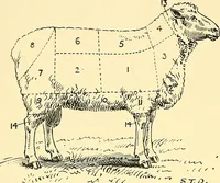 An illustration from The textile industries : a practical guide to fibres, yarns & fabrics in every branch of textile manufacture, including preparation of fibres, spinning, doubling, designing, weaving, bleaching, printing, dyeing and finishing (1910)
