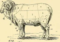 An illustration from The textile industries : a practical guide to fibres, yarns & fabrics in every branch of textile manufacture, including preparation of fibres, spinning, doubling, designing, weaving, bleaching, printing, dyeing and finishing (1910)