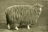 An illustration from The textile industries : a practical guide to fibres, yarns & fabrics in every branch of textile manufacture, including preparation of fibres, spinning, doubling, designing, weaving, bleaching, printing, dyeing and finishing (1910)