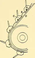 An illustration from The textile industries : a practical guide to fibres, yarns & fabrics in every branch of textile manufacture, including preparation of fibres, spinning, doubling, designing, weaving, bleaching, printing, dyeing and finishing (1910)