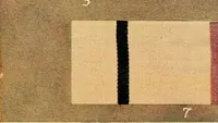 An illustration from The textile industries : a practical guide to fibres, yarns & fabrics in every branch of textile manufacture, including preparation of fibres, spinning, doubling, designing, weaving, bleaching, printing, dyeing and finishing (1910)
