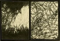 Picture 3 of 70 from The textile industries : a practical guide to fibres, yarns & fabrics in every branch of textile manufacture, including preparation of fibres, spinning, doubling, designing, weaving, bleaching, printing, dyeing and finishing (1910), leaf 24