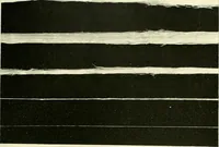 An illustration from The textile industries : a practical guide to fibres, yarns & fabrics in every branch of textile manufacture, including preparation of fibres, spinning, doubling, designing, weaving, bleaching, printing, dyeing and finishing (1910)