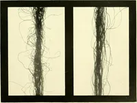 An illustration from The textile industries : a practical guide to fibres, yarns & fabrics in every branch of textile manufacture, including preparation of fibres, spinning, doubling, designing, weaving, bleaching, printing, dyeing and finishing (1910)