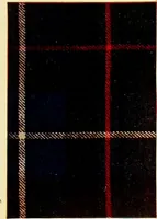 An illustration from The textile industries : a practical guide to fibres, yarns & fabrics in every branch of textile manufacture, including preparation of fibres, spinning, doubling, designing, weaving, bleaching, printing, dyeing and finishing (1910)