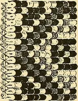 An illustration from The textile industries : a practical guide to fibres, yarns & fabrics in every branch of textile manufacture, including preparation of fibres, spinning, doubling, designing, weaving, bleaching, printing, dyeing and finishing (1910)
