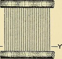An illustration from The textile industries : a practical guide to fibres, yarns & fabrics in every branch of textile manufacture, including preparation of fibres, spinning, doubling, designing, weaving, bleaching, printing, dyeing and finishing (1910)
