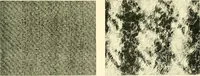 An illustration from The textile industries : a practical guide to fibres, yarns & fabrics in every branch of textile manufacture, including preparation of fibres, spinning, doubling, designing, weaving, bleaching, printing, dyeing and finishing (1910)