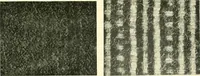 An illustration from The textile industries : a practical guide to fibres, yarns & fabrics in every branch of textile manufacture, including preparation of fibres, spinning, doubling, designing, weaving, bleaching, printing, dyeing and finishing (1910)