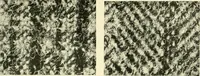 An illustration from The textile industries : a practical guide to fibres, yarns & fabrics in every branch of textile manufacture, including preparation of fibres, spinning, doubling, designing, weaving, bleaching, printing, dyeing and finishing (1910)
