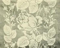 An illustration from The textile industries : a practical guide to fibres, yarns & fabrics in every branch of textile manufacture, including preparation of fibres, spinning, doubling, designing, weaving, bleaching, printing, dyeing and finishing (1910)