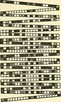 An illustration from The textile industries : a practical guide to fibres, yarns & fabrics in every branch of textile manufacture, including preparation of fibres, spinning, doubling, designing, weaving, bleaching, printing, dyeing and finishing (1910)