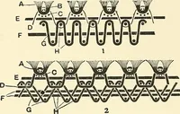 An illustration from The textile industries : a practical guide to fibres, yarns & fabrics in every branch of textile manufacture, including preparation of fibres, spinning, doubling, designing, weaving, bleaching, printing, dyeing and finishing (1910)