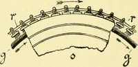 An illustration from Textile raw materials and their conversion into yarns : (the study of the raw materials and the technology of the spinning process) a text-book for textile, trade and higher technical schools, as also for self-instruction ; based upon the ordinary syllabus and curriculum of the Imperial and Royal Austrian weaving schools (1901)