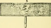 An illustration from Textile raw materials and their conversion into yarns : (the study of the raw materials and the technology of the spinning process) a text-book for textile, trade and higher technical schools, as also for self-instruction ; based upon the ordinary syllabus and curriculum of the Imperial and Royal Austrian weaving schools (1901)