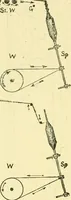 An illustration from Textile raw materials and their conversion into yarns : (the study of the raw materials and the technology of the spinning process) a text-book for textile, trade and higher technical schools, as also for self-instruction ; based upon the ordinary syllabus and curriculum of the Imperial and Royal Austrian weaving schools (1901)