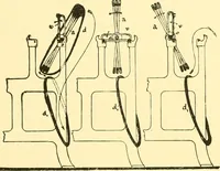 An illustration from Textile raw materials and their conversion into yarns : (the study of the raw materials and the technology of the spinning process) a text-book for textile, trade and higher technical schools, as also for self-instruction ; based upon the ordinary syllabus and curriculum of the Imperial and Royal Austrian weaving schools (1901)
