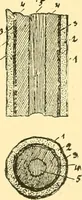 An illustration from Textile raw materials and their conversion into yarns : (the study of the raw materials and the technology of the spinning process) a text-book for textile, trade and higher technical schools, as also for self-instruction ; based upon the ordinary syllabus and curriculum of the Imperial and Royal Austrian weaving schools (1901)