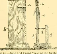 An illustration from Textile raw materials and their conversion into yarns : (the study of the raw materials and the technology of the spinning process) a text-book for textile, trade and higher technical schools, as also for self-instruction ; based upon the ordinary syllabus and curriculum of the Imperial and Royal Austrian weaving schools (1901)
