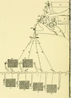An illustration from Textile raw materials and their conversion into yarns : (the study of the raw materials and the technology of the spinning process) a text-book for textile, trade and higher technical schools, as also for self-instruction ; based upon the ordinary syllabus and curriculum of the Imperial and Royal Austrian weaving schools (1901)