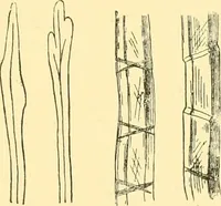 An illustration from Textile raw materials and their conversion into yarns : (the study of the raw materials and the technology of the spinning process) a text-book for textile, trade and higher technical schools, as also for self-instruction ; based upon the ordinary syllabus and curriculum of the Imperial and Royal Austrian weaving schools (1901)