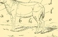 An illustration from Textile raw materials and their conversion into yarns : (the study of the raw materials and the technology of the spinning process) a text-book for textile, trade and higher technical schools, as also for self-instruction ; based upon the ordinary syllabus and curriculum of the Imperial and Royal Austrian weaving schools (1901)