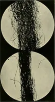 An illustration from Textiles (1922)