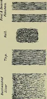 An illustration from Textiles (1922)