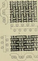 An illustration from Textiles (1922)