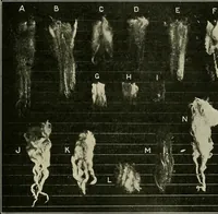 An illustration from Textiles (1922)
