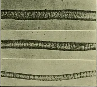 An illustration from Textiles (1922)
