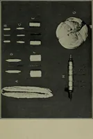 An illustration from Textiles (1916)