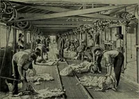 An illustration from Textiles (1916)