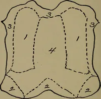 An illustration from Textiles (1916)