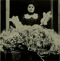 Picture 17 of 37 from Textiles (1916), leaf 234