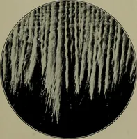 An illustration from Textiles (1916)