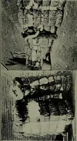 An illustration from Textiles (1916)
