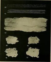 An illustration from Textiles (1910)